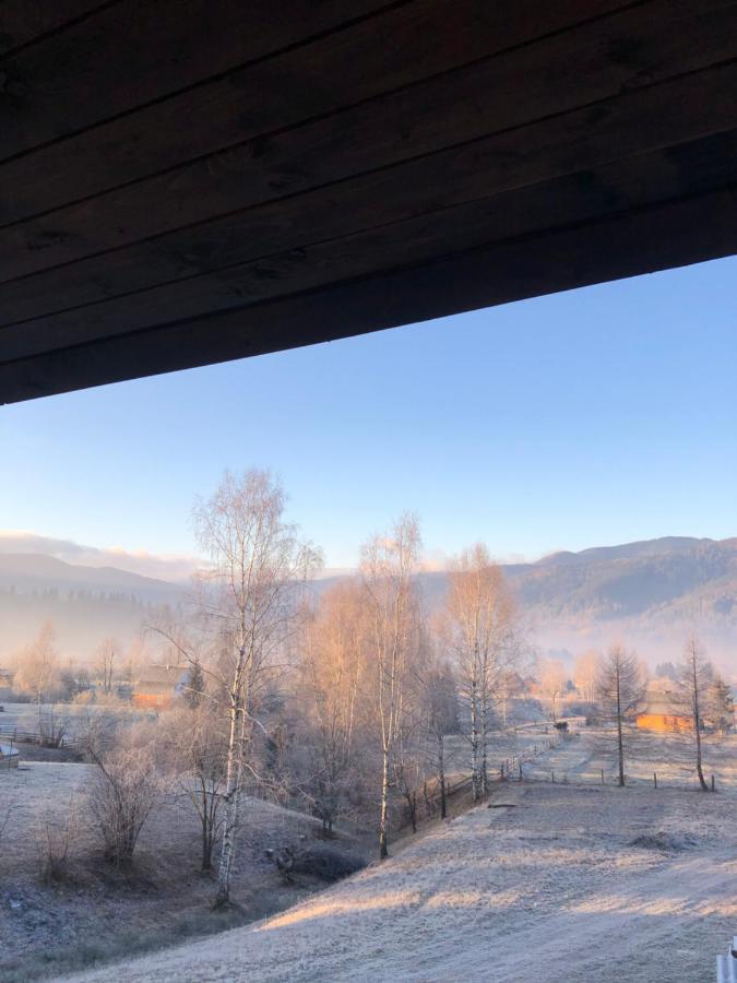 Вілла Зозуля Mykulychyn Bagian luar foto